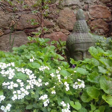 Le Bousquet-d'Orb Le Clos De La Source Bed & Breakfast エクステリア 写真