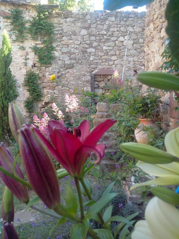 Le Bousquet-d'Orb Le Clos De La Source Bed & Breakfast エクステリア 写真